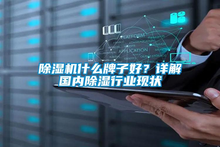 除湿机什么牌子好？详解国内除湿行业现状