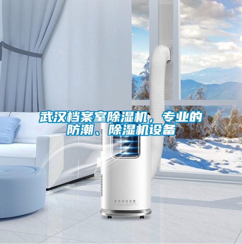 武汉档案室除湿机，专业的防潮、除湿机设备