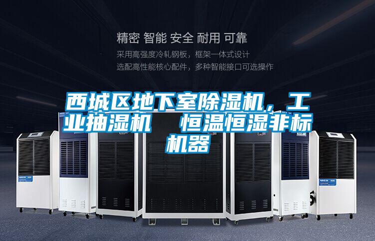 西城区地下室除湿机，工业抽湿机  恒温恒湿非标机器
