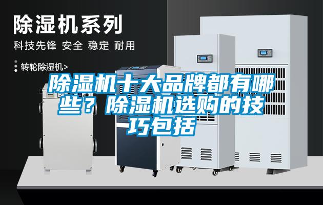 除湿机十大品牌都有哪些？除湿机选购的技巧包括