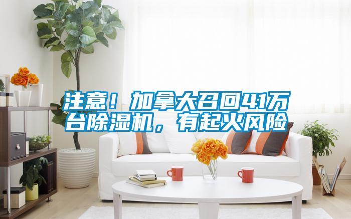 注意！加拿大召回41万台除湿机，有起火风险