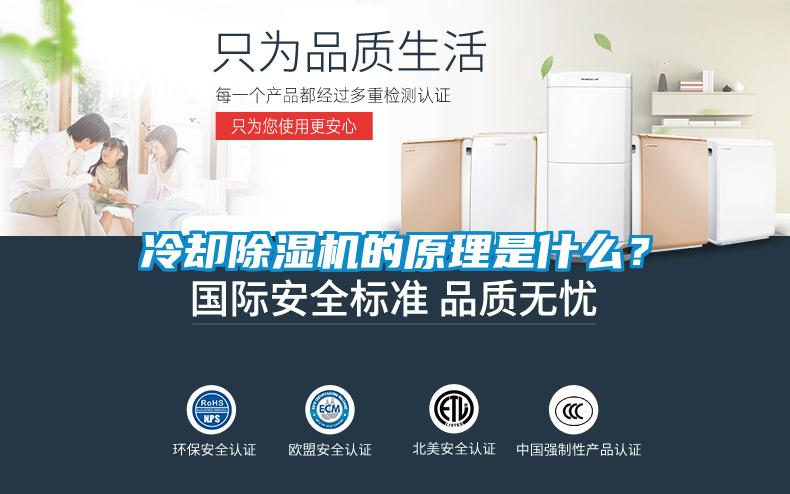 冷却除湿机的原理是什么？