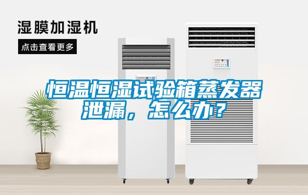 恒温恒湿试验箱蒸发器泄漏，怎么办？
