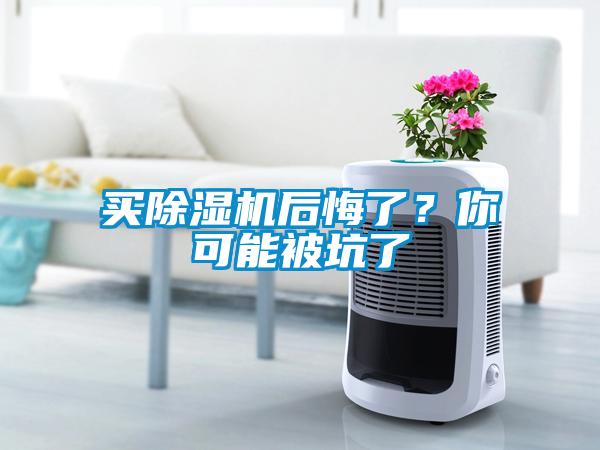 买除湿机后悔了？你可能被坑了