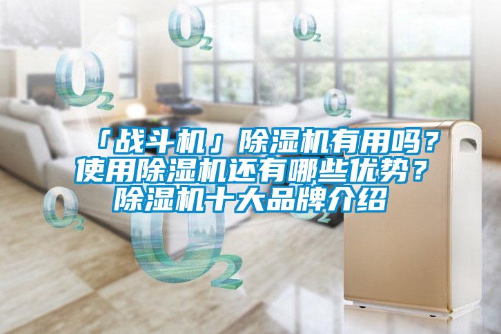 「战斗机」除湿机有用吗？使用除湿机还有哪些优势？除湿机十大品牌介绍