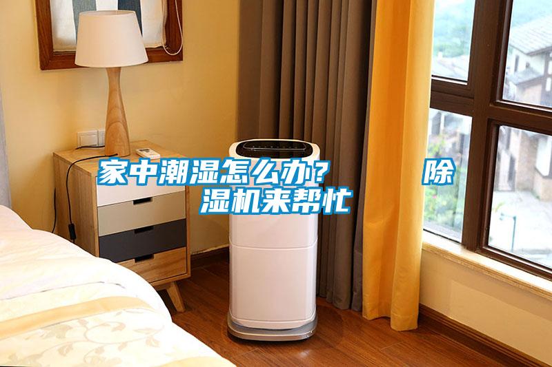 家中潮湿怎么办？    除湿机来帮忙