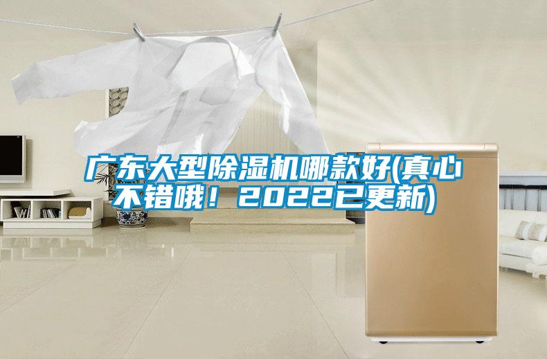广东大型除湿机哪款好(真心不错哦！2022已更新)
