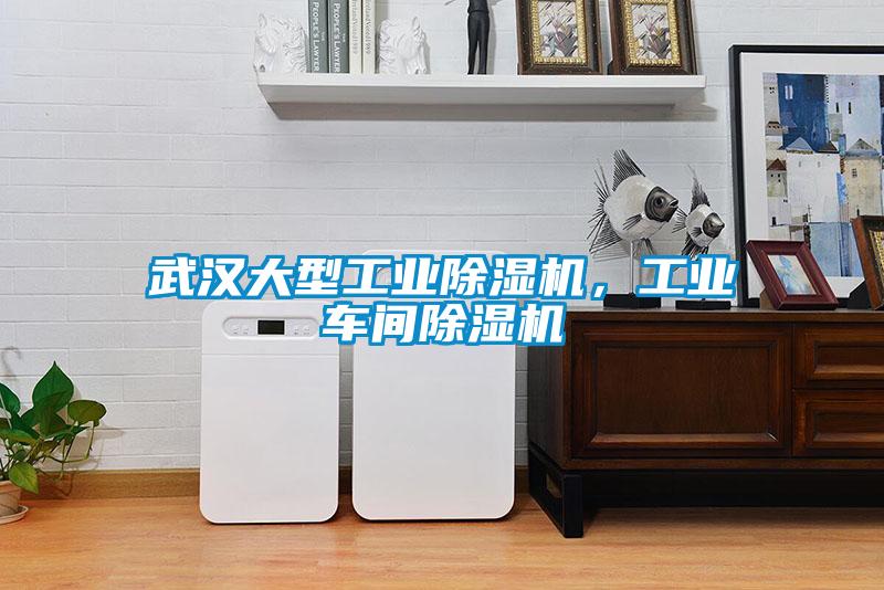 武汉大型工业除湿机，工业车间除湿机