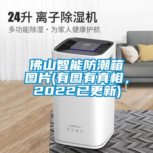 佛山智能防潮箱图片(有图有真相，2022已更新)