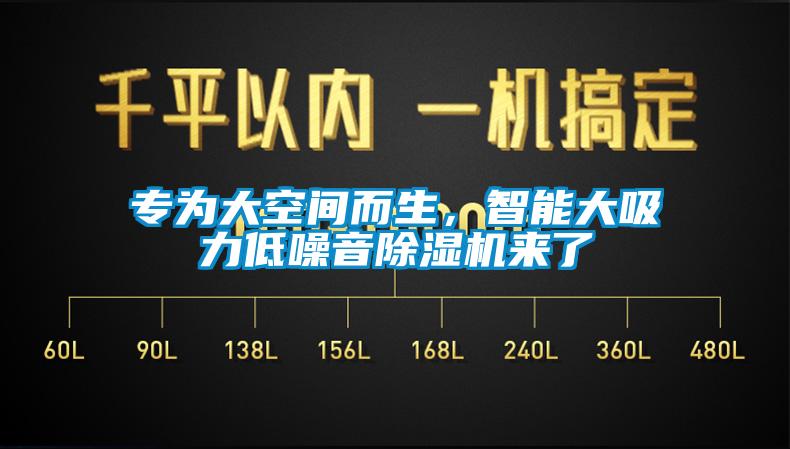 专为大空间而生，智能大吸力低噪音除湿机来了
