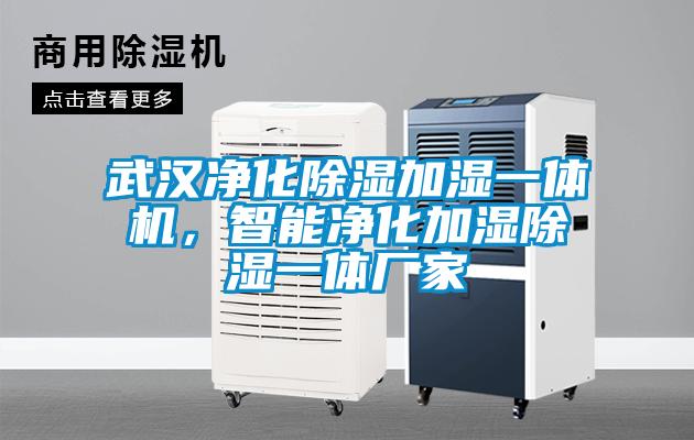 武汉净化除湿加湿一体机，智能净化加湿除湿一体厂家