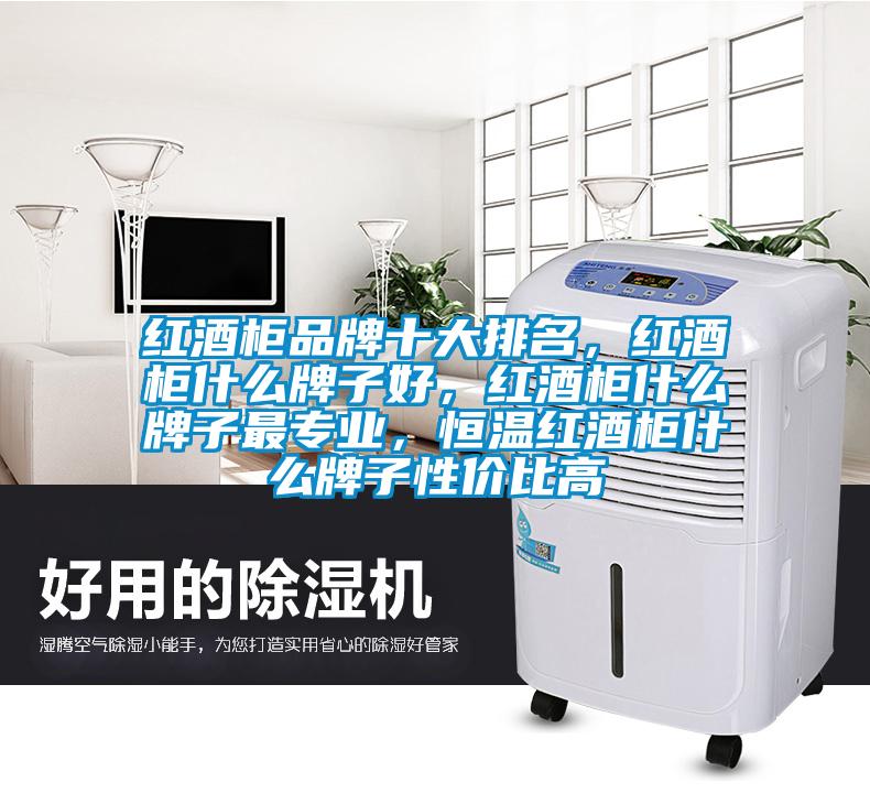 红酒柜品牌十大排名，红酒柜什么牌子好，红酒柜什么牌子最专业，恒温红酒柜什么牌子性价比高