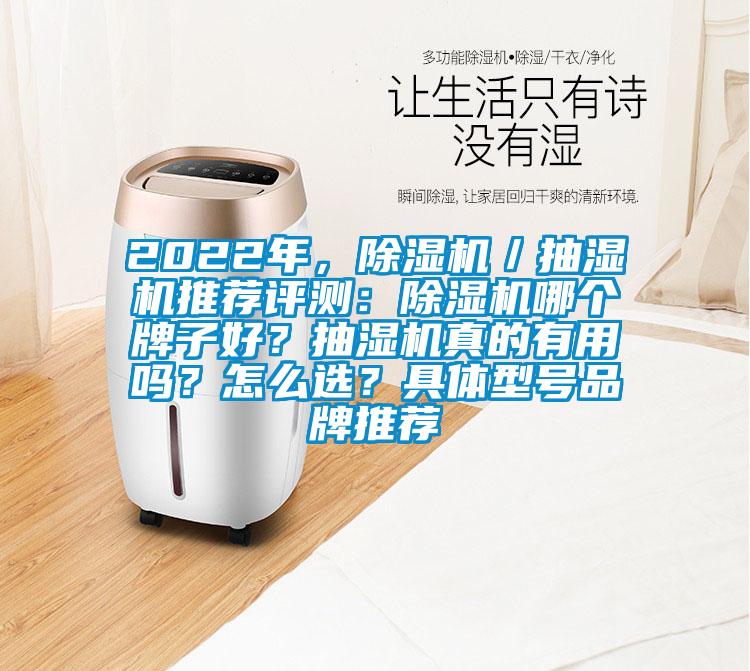 2022年，除湿机／抽湿机推荐评测：除湿机哪个牌子好？抽湿机真的有用吗？怎么??？具体型号品牌推荐