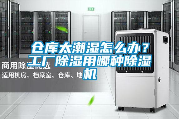 仓库太潮湿怎么办？工厂除湿用哪种除湿机