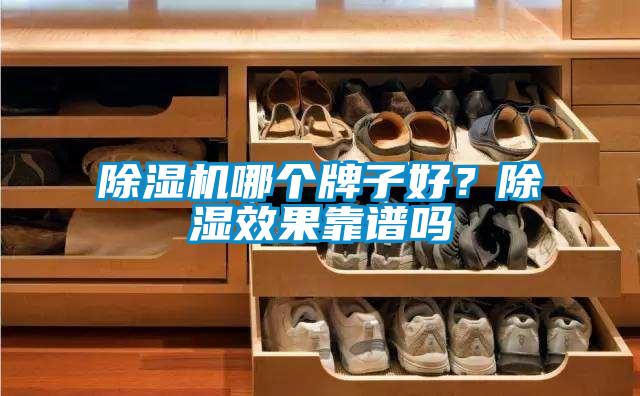 除湿机哪个牌子好？除湿效果靠谱吗