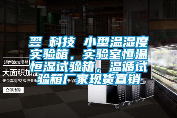 翌昇科技 小型温湿度实验箱，实验室恒温恒湿试验箱，温循试验箱厂家现货直销