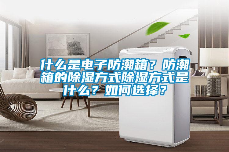 什么是电子防潮箱？防潮箱的除湿方式除湿方式是什么？如何选择？