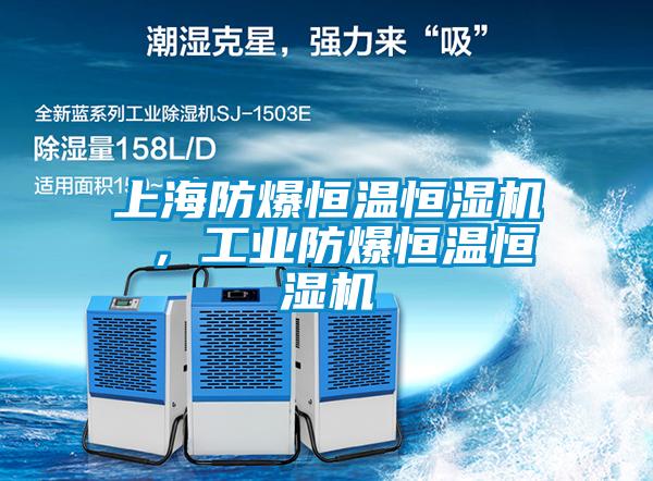 上海防爆恒温恒湿机 ，工业防爆恒温恒湿机