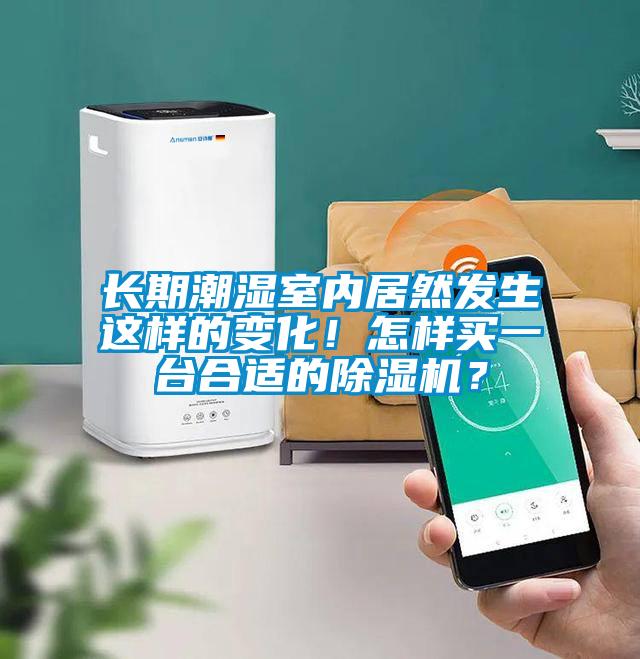 长期潮湿室内居然发生这样的变化！怎样买一台合适的除湿机？