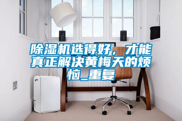 除湿机选得好，才能真正解决黄梅天的烦恼_重复