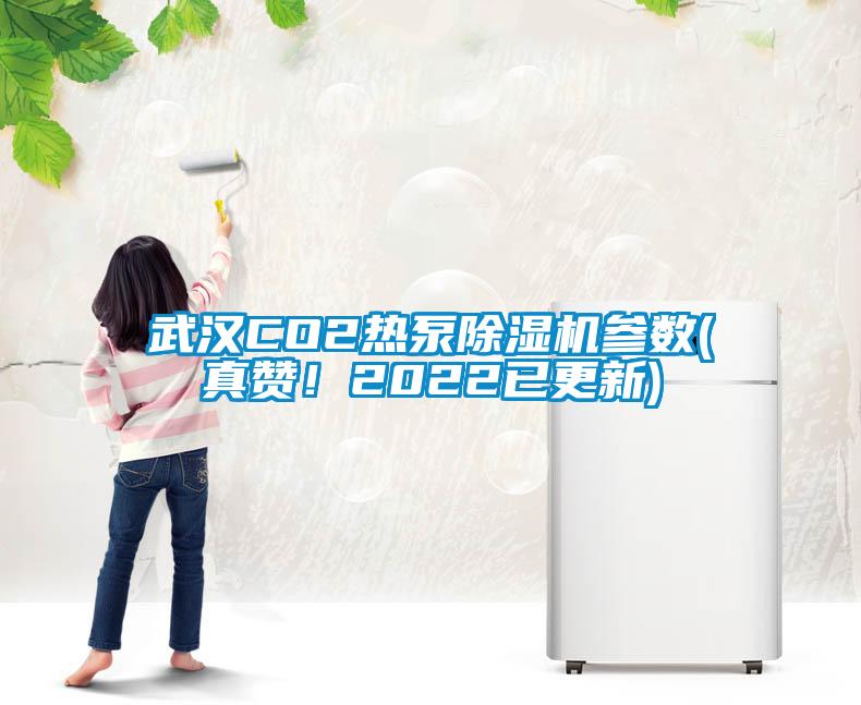武汉CO2热泵除湿机参数(真赞！2022已更新)