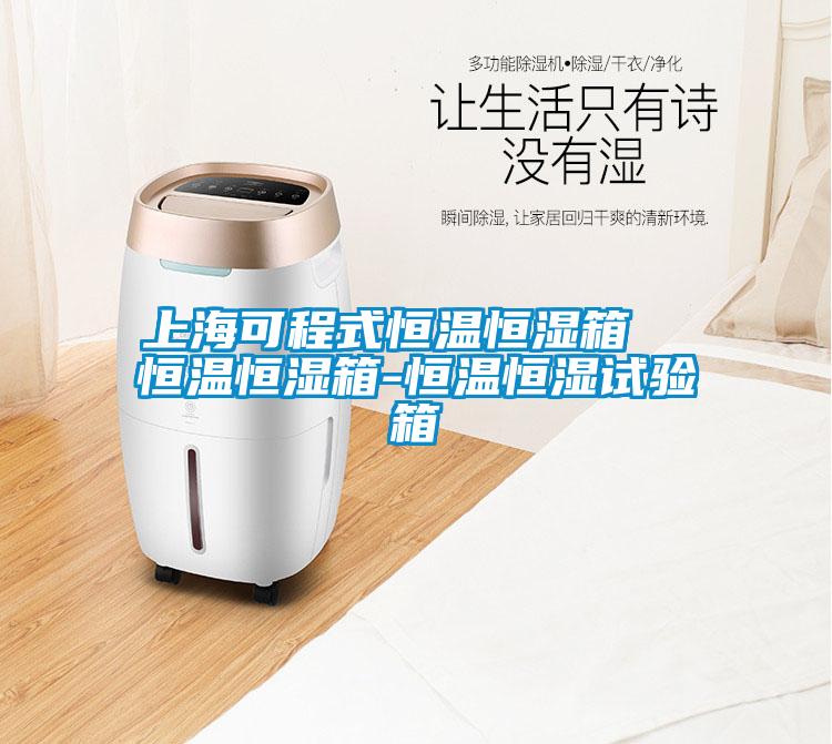 上?？沙淌胶阄潞闶? 恒温恒湿箱-恒温恒湿试验箱