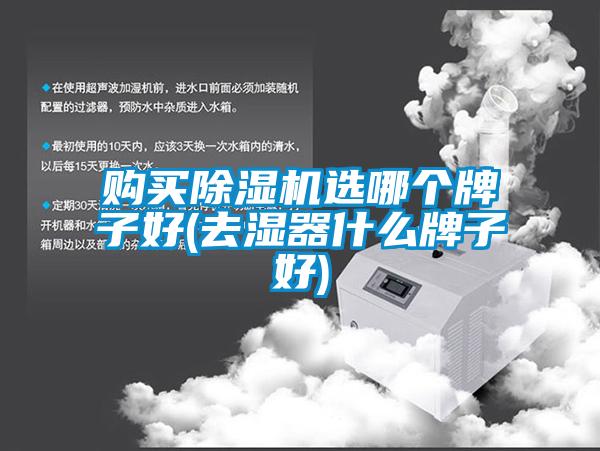 购买除湿机选哪个牌子好(去湿器什么牌子好)