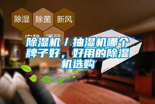除湿机／抽湿机哪个牌子好，好用的除湿机选购