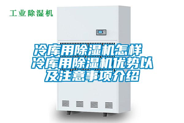 冷库用除湿机怎样 冷库用除湿机优势以及注意事项介绍