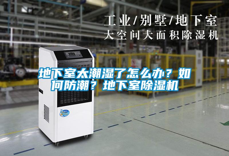 地下室太潮湿了怎么办？如何防潮？地下室除湿机