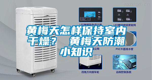 黄梅天怎样保持室内干燥？ 黄梅天防潮小知识