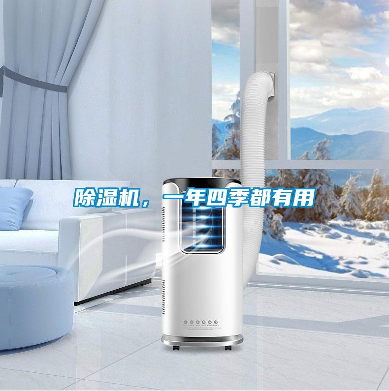 除湿机，一年四季都有用