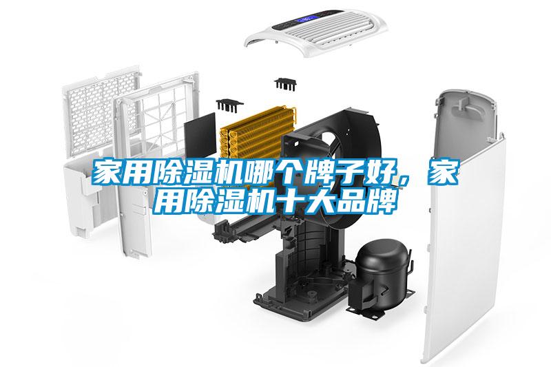 家用除湿机哪个牌子好，家用除湿机十大品牌