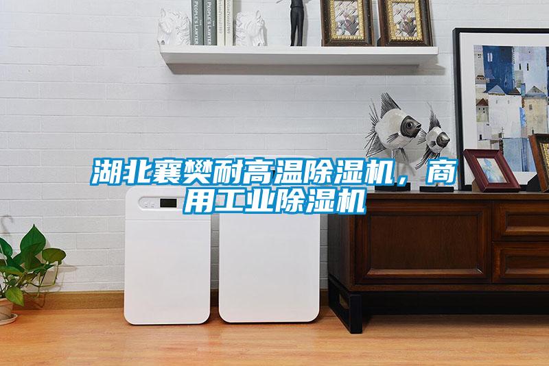 湖北襄樊耐高温除湿机，商用工业除湿机