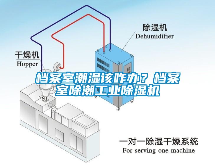 档案室潮湿该咋办？档案室除潮工业除湿机