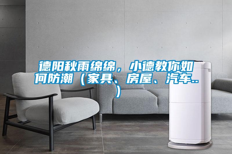 德阳秋雨绵绵，小德教你如何防潮（家具、房屋、汽车..）