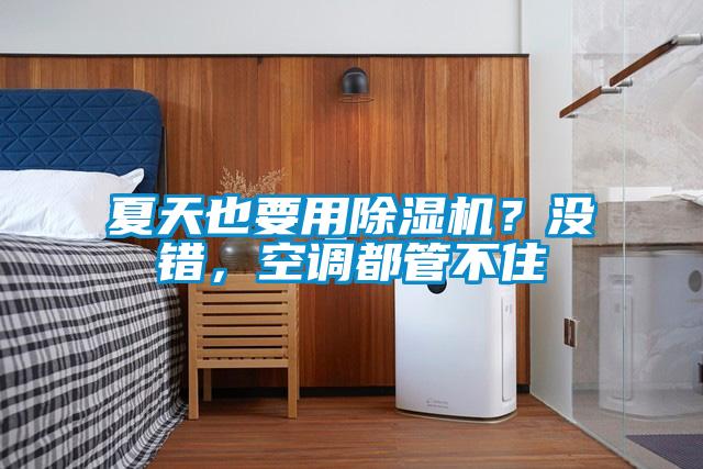 夏天也要用除湿机？没错，空调都管不住