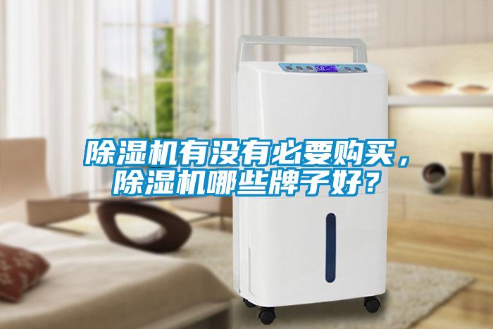 除湿机有没有必要购买，除湿机哪些牌子好？