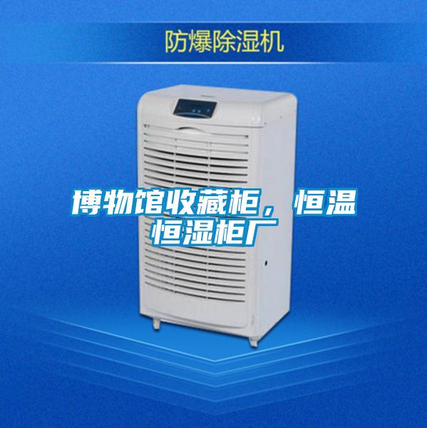 博物馆收藏柜，恒温恒湿柜厂