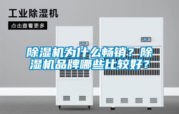 除湿机为什么畅销？除湿机品牌哪些比较好？