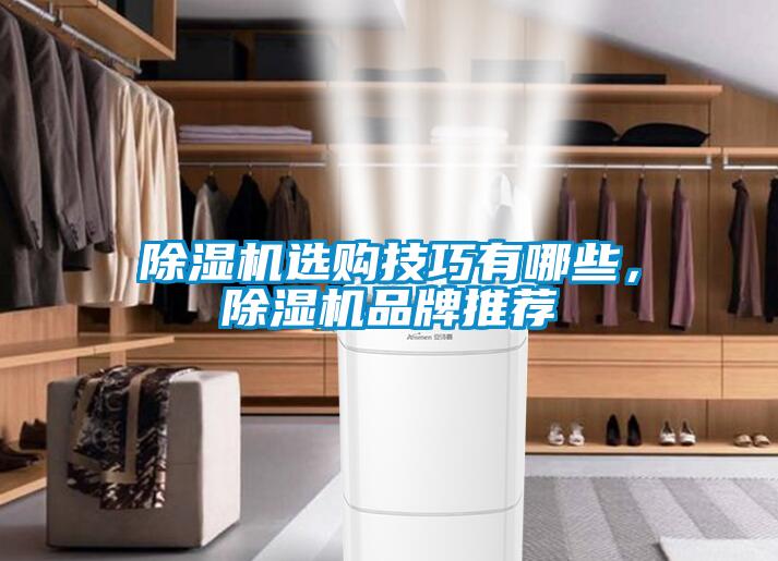 除濕機(jī)選購(gòu)技巧有哪些，除濕機(jī)品牌推薦
