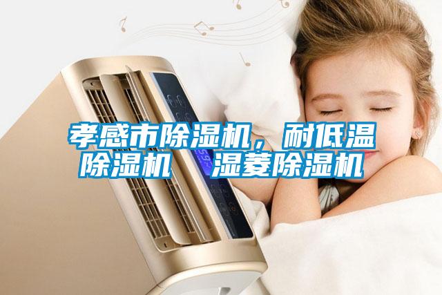 孝感市除濕機(jī)，耐低溫除濕機(jī)  濕菱除濕機(jī)