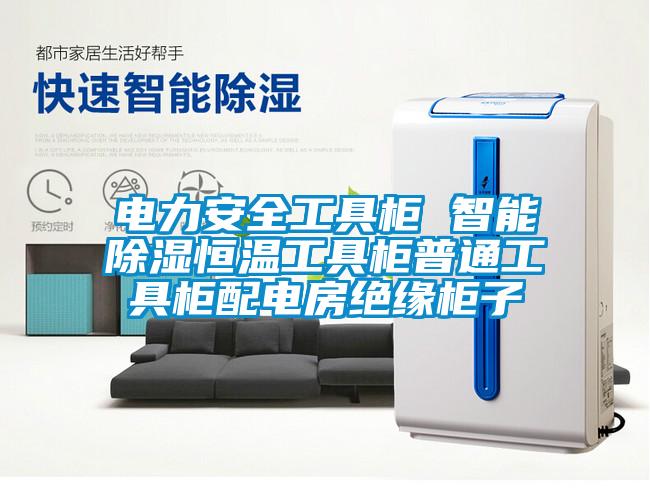 电力安全工具柜 智能除湿恒温工具柜普通工具柜配电房绝缘柜子