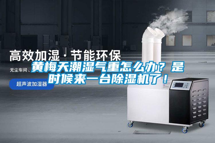 黄梅天潮湿气重怎么办？是时候来一台除湿机了！