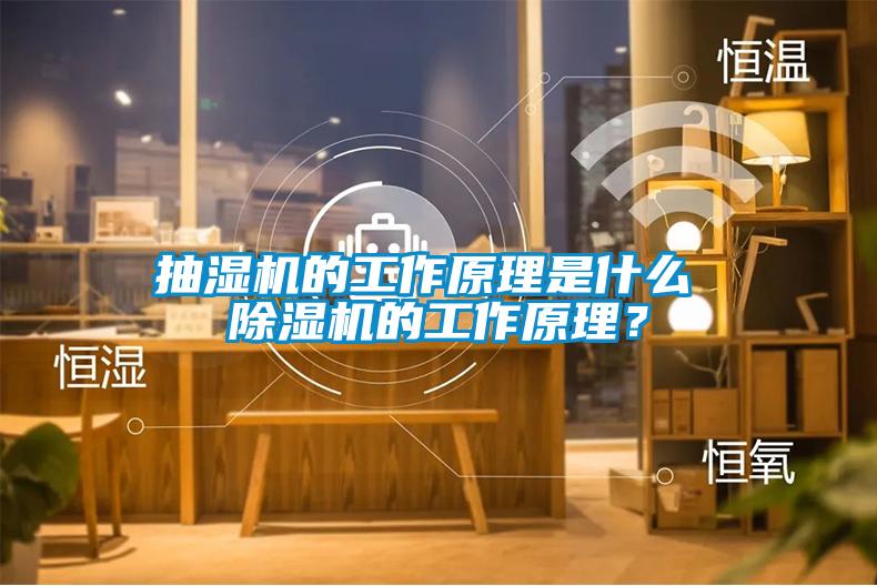 抽湿机的工作原理是什么 除湿机的工作原理？