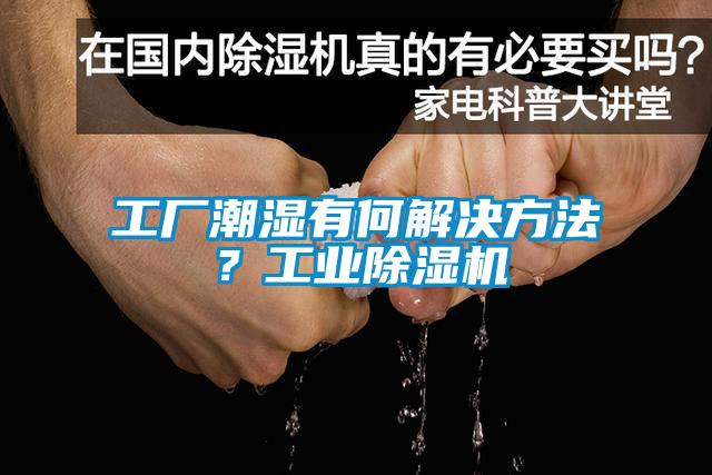 工厂潮湿有何解决方法？工业除湿机