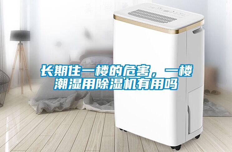 长期住一楼的危害，一楼潮湿用除湿机有用吗
