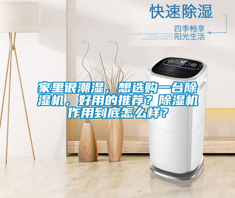 家里很潮湿，想选购一台除湿机，好用的推荐？除湿机作用到底怎么样？