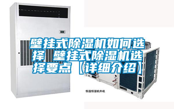 壁挂式除湿机如何选择 壁挂式除湿机选择要点【详细介绍】