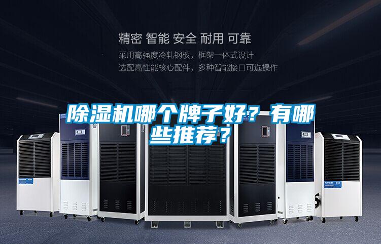 除湿机哪个牌子好？有哪些推荐？